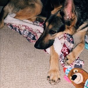 Meet your Posher, Beverly